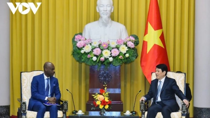 Togo, Vietnam elevate bilateral ties ahead of diplomatic milestone